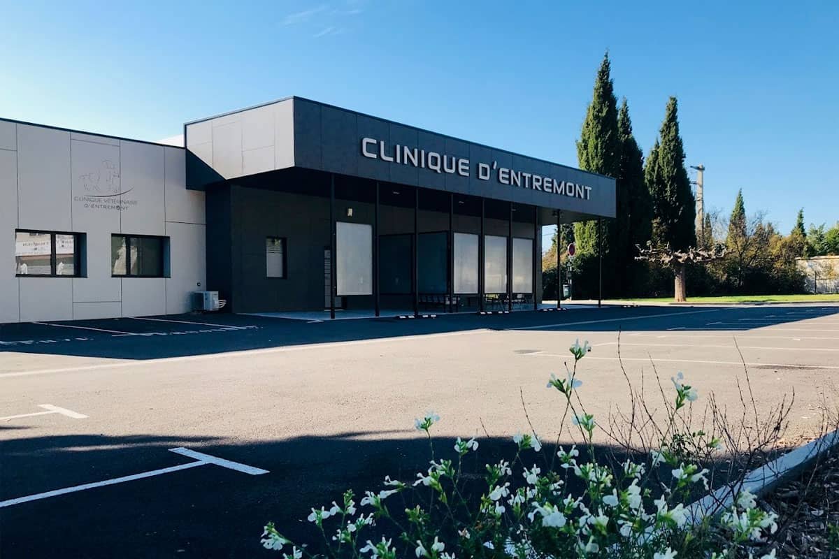 CLINIQUE VETERINAIRE D'ENTREMONT CLINIQUE VETERINAIRE D'ENTREMONT